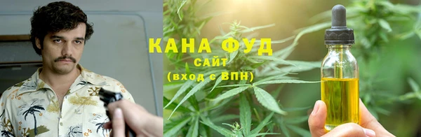 молекула духа Арсеньев