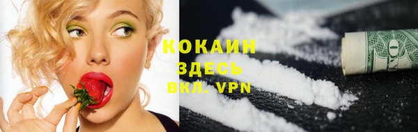 молекула духа Арсеньев