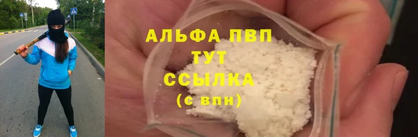 молекула духа Арсеньев