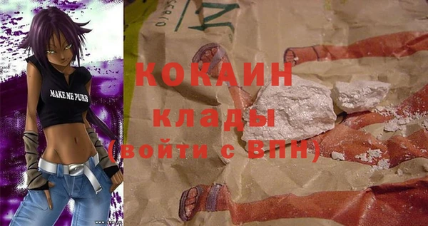 молекула духа Арсеньев