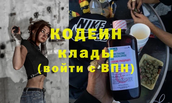 молекула духа Арсеньев