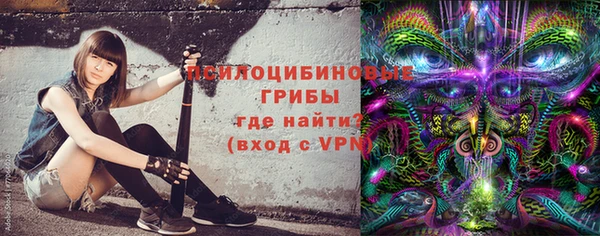 дмт Аркадак